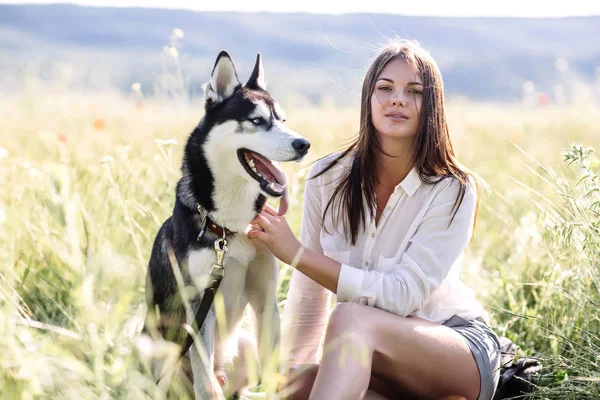 美しい少女が犬 (黒と白青い目のハスキー) グリーン フィールドで遊ぶ — ストック写真