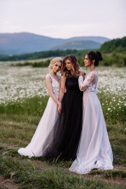 üç güzel kız esmer ve sarışın, kahverengi saçlı kadın zevk Daisy alan, güzel uzun elbiseler, açık rahatlatıcı, eğlence, mutlu genç bayan ve bahar yeşil doğa, uyum conce sahip güzel kız