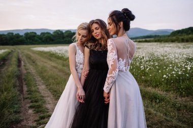 üç güzel kız esmer ve sarışın, kahverengi saçlı kadın zevk Daisy alan, güzel uzun elbiseler, açık rahatlatıcı, eğlence, mutlu genç bayan ve bahar yeşil doğa, uyum conce sahip güzel kız