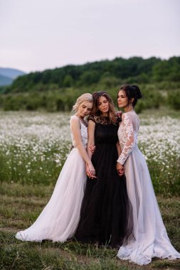 üç güzel kız esmer ve sarışın, kahverengi saçlı kadın zevk Daisy alan, güzel uzun elbiseler, açık rahatlatıcı, eğlence, mutlu genç bayan ve bahar yeşil doğa, uyum conce sahip güzel kız