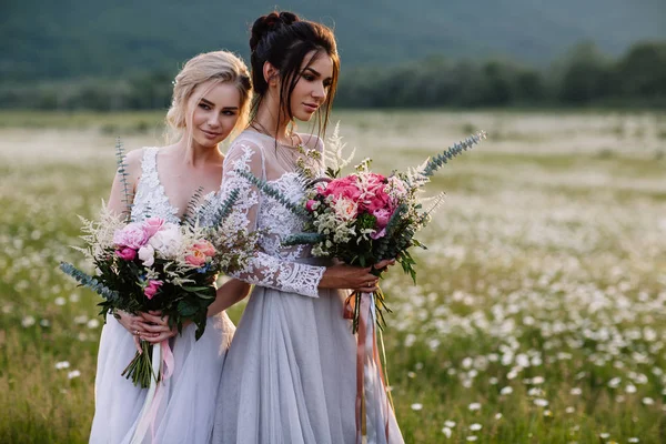 Dwie piękne dziewczyny brunetka i Blondynka cieszy dziedzinie Daisy, ładne długie sukienki, Ładna dziewczyna, relaksujący odkryty, posiadające zabawy, szczęśliwy panienka i wiosna zielony natura, koncepcja harmonii — Zdjęcie stockowe