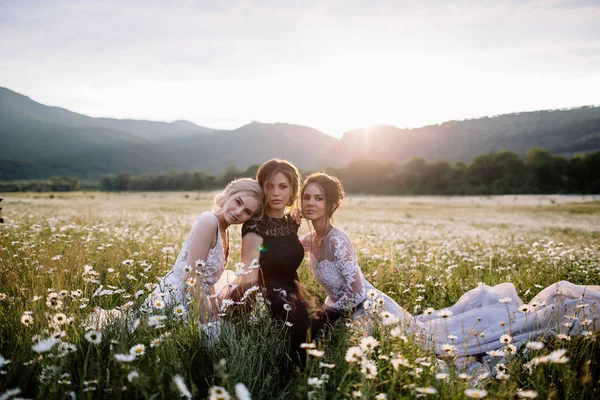 Tre vackra flickor Brunett och blond, brunhårig kvinna njuter Daisy fält, fina långa klänningar, vackra flicka avkopplande utomhus, ha kul, glad ung dam och våren gröna natur, harmoni conce — Stockfoto