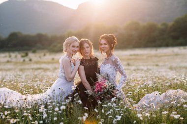 üç güzel kız esmer ve sarışın, kahverengi saçlı kadın zevk Daisy alan, güzel uzun elbiseler, açık rahatlatıcı, eğlence, mutlu genç bayan ve bahar yeşil doğa, uyum conce sahip güzel kız