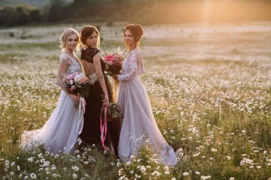 üç güzel kız esmer ve sarışın, kahverengi saçlı kadın zevk Daisy alan, güzel uzun elbiseler, açık rahatlatıcı, eğlence, mutlu genç bayan ve bahar yeşil doğa, uyum conce sahip güzel kız