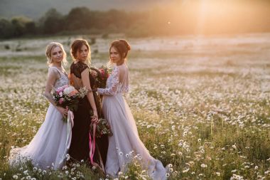 üç güzel kız esmer ve sarışın, kahverengi saçlı kadın zevk Daisy alan, güzel uzun elbiseler, açık rahatlatıcı, eğlence, mutlu genç bayan ve bahar yeşil doğa, uyum conce sahip güzel kız