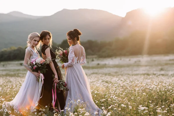 Trzy piękne dziewczyny brunetka i Blondynka, Brunet kobieta korzystających Daisy pola, ładne długie sukienki, Ładna dziewczyna, relaksujący odkryty, posiadające zabawy, szczęśliwy panienka i wiosna zielony natura, harmonii koncer — Zdjęcie stockowe