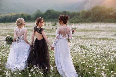 üç güzel kız esmer ve sarışın, kahverengi saçlı kadın zevk Daisy alan, güzel uzun elbiseler, açık rahatlatıcı, eğlence, mutlu genç bayan ve bahar yeşil doğa, uyum conce sahip güzel kız