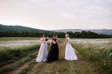 üç güzel kız esmer ve sarışın, kahverengi saçlı kadın zevk Daisy alan, güzel uzun elbiseler, açık rahatlatıcı, eğlence, mutlu genç bayan ve bahar yeşil doğa, uyum conce sahip güzel kız