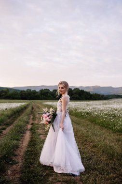 Güzel kadın zevk papatya alan, açık rahatlatıcı, eğlenceli, mutlu genç bayan ve bahar yeşil doğa, uyum kavramı sahip güzel kız çiçek, çayırda uzanmış güzel kadın