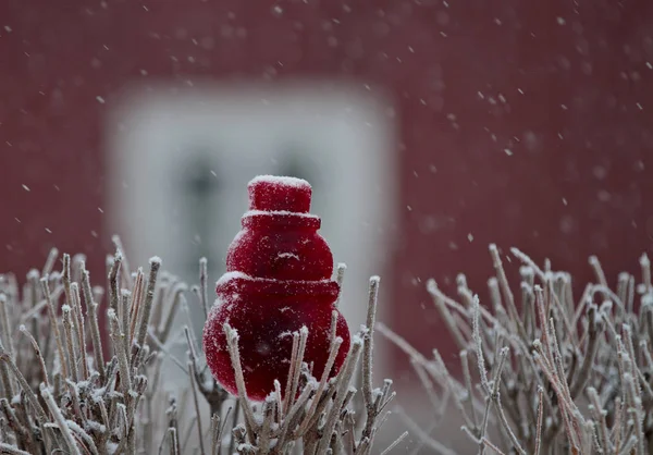 Décoration glacée rouge dans le jardin en chute de neige — Photo