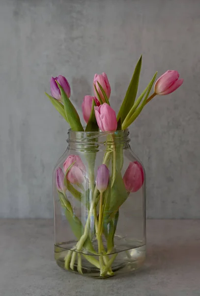 Belles tulipes roses dans un pot en verre — Photo