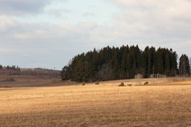 Baharın başlarında tarlaları ve ormanı olan kırsal bir arazi.