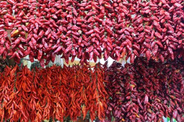 Baharatlı kırmızı biber kurutulmuş.