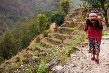 Nepal, Şubat 2017: Bir işaret, Birethanthi, Ghorepani giden yolu gösterir Annapurna devre başlangıcı trek Annapurna bölgesinde, Nepal.
