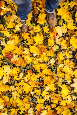 Erkek ayak br giyen sonbaharda sarı yapraklar bir sürü içinde yürüyüş