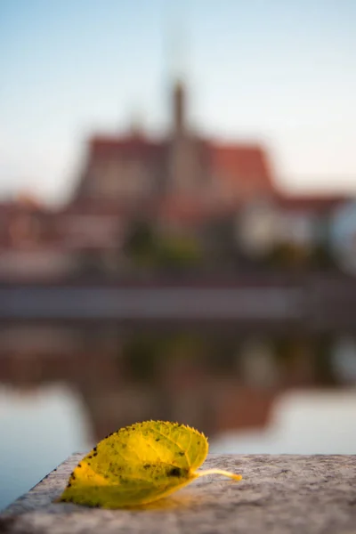 Wroclaw, Poland 22nd october 2016. An autumn leaf with the Churc — Stock Photo, Image