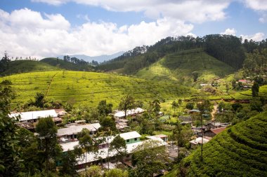 Sri Lanka'nın dağlık çay tarlaları arasında kırsal dağ köylerinde. Trenden Nuwara Eliya görüntülendi.