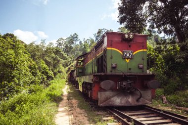Tren sesi ormanlar ve yaylaları Ella, Sri çevresinde