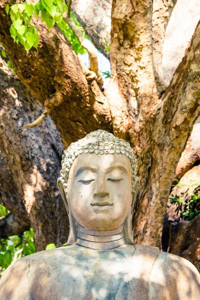 Buda de piedra escultura meditando con los ojos cerrados al aire libre unde —  Fotos de Stock