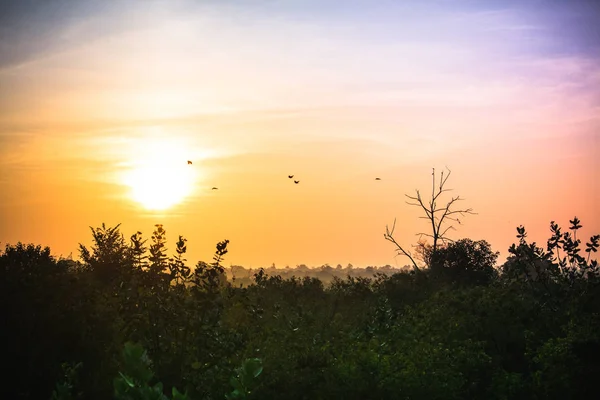 Sunrise in Udawalawe nature park, Sri lanka. Colourful sunrise w — Stock Photo, Image