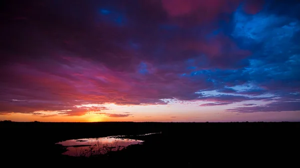 Superbe Coucher Soleil Coloré Surréaliste Point Eau Halali Parc National — Photo