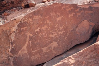 Twyfelfontein 'de Bushman gravürleri, UNESCO Dünya Mirası sitesi, Damaraland, Kuene Bölgesi, Namibya