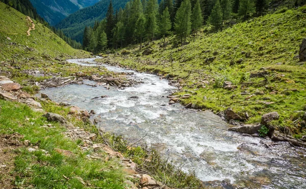 Rzeka, górska rzeka, Dunajec, woda, kamienie, woda w górach, polska ...