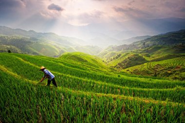 Pirinç tarlasının yukarısında, Longsheng, Guilin Çin
