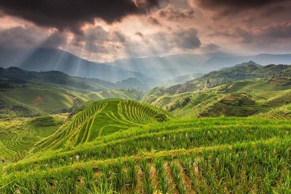 Guilin Rice teraslarında ışınlar