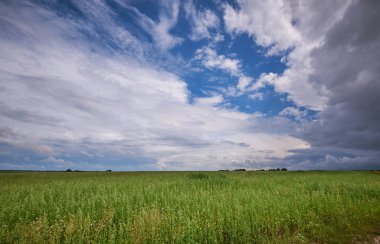 Tarlaların üzerinde fırtına