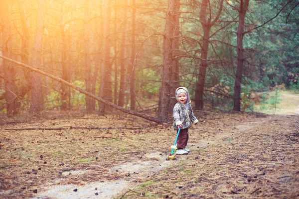 Niño pequeño caminando en el bosque — Foto de Stock