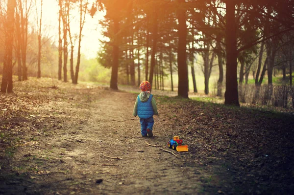 Jongetje wandelen in het woud — Stockfoto
