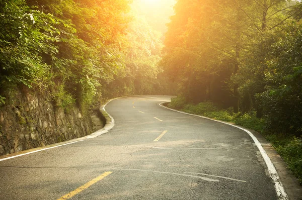 s-şekil otoyol ormanda