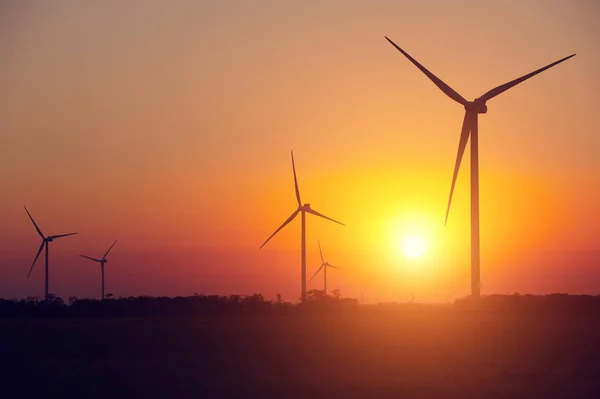 Windkraftanlagen bei Sonnenuntergang — Stockfoto