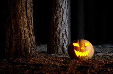 Cadılar Bayramı Balkabağı gece ormanda