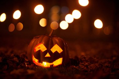 Parkta tür Cadılar Bayramı Balkabağı