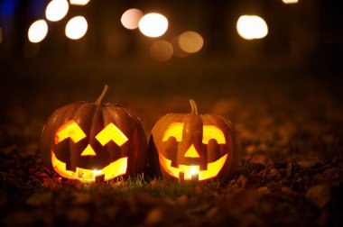 İki tür Halloween Pumpkins Park