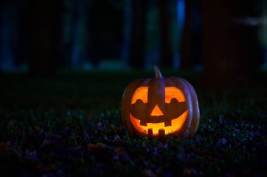 Parkta Cadılar Bayramı Balkabağı