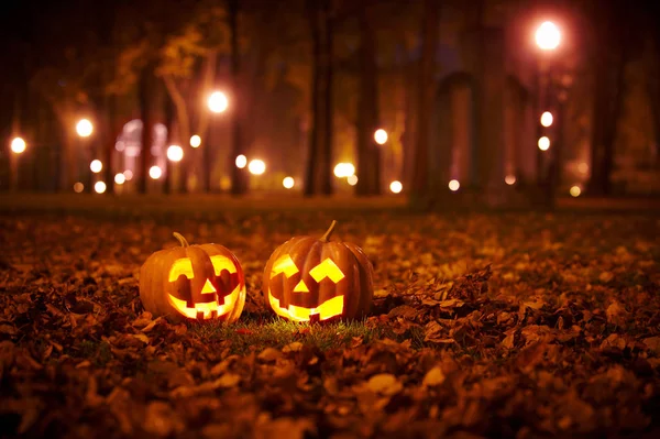 İki tür Halloween Pumpkins Park