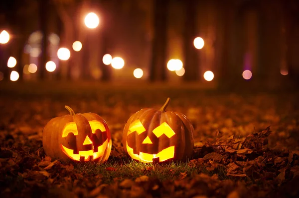 İki tür Halloween Pumpkins Park