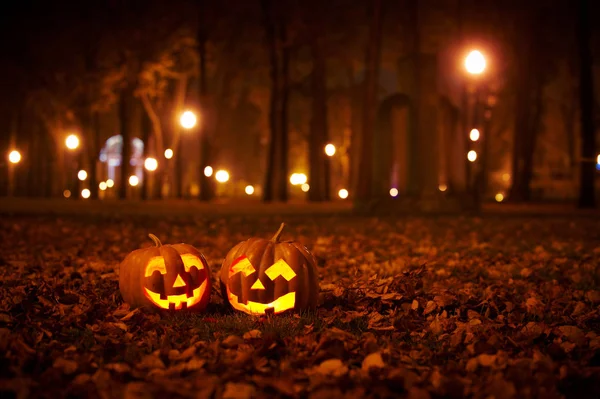 İki tür Halloween Pumpkins Park
