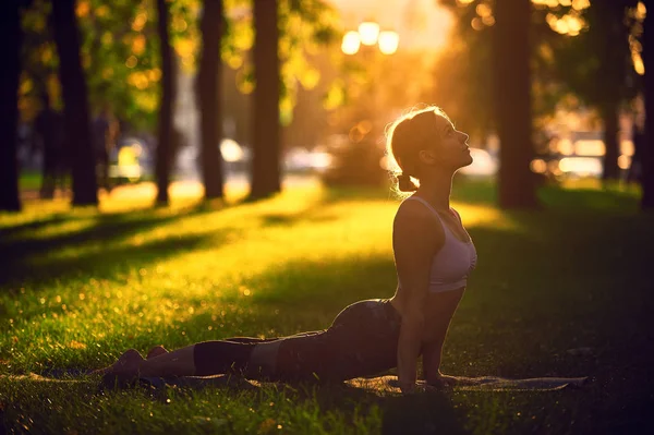 Beautiful young woman practices yoga asana upward facing dog in the park at sunset