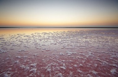 Tuz ve salamura mikroalg Dunaliella salina tarafından günbatımında renkli bir pembe Gölü