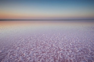 Tuz ve salamura mikroalg Dunaliella salina tarafından günbatımında renkli bir pembe Gölü