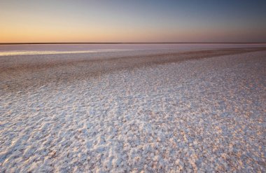 Tuz ve salamura mikroalg Dunaliella salina tarafından günbatımında renkli bir pembe Gölü