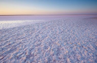 Tuz ve salamura mikroalg Dunaliella salina tarafından günbatımında renkli bir pembe Gölü