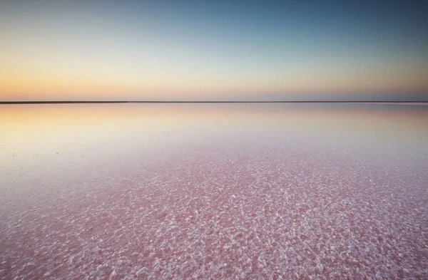 Tuz ve salamura mikroalg Dunaliella salina tarafından günbatımında renkli bir pembe Gölü