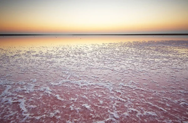 Соль и рассол розового озера, окрашенные микроводорослями Dunaliella salina на закате — стоковое фото