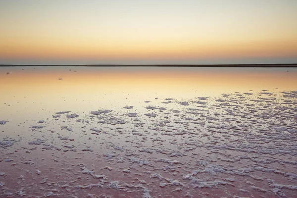Tuz ve salamura mikroalg Dunaliella salina tarafından günbatımında renkli bir pembe Gölü