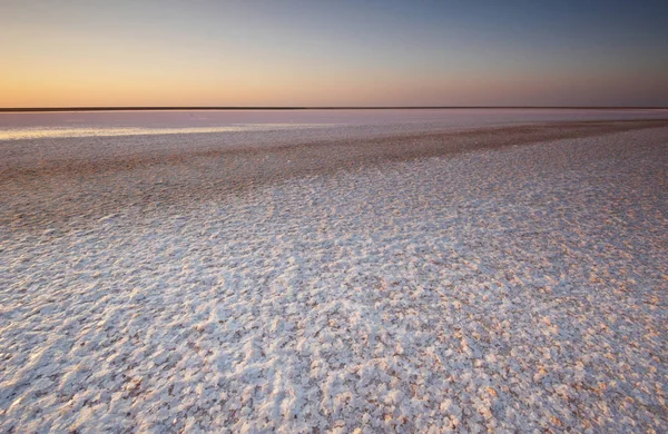Tuz ve salamura mikroalg Dunaliella salina tarafından günbatımında renkli bir pembe Gölü
